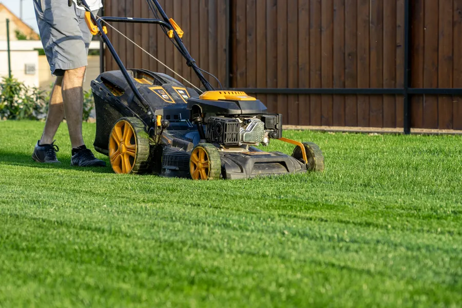 Common Lawn Mowing Mistakes And How To Avoid Them Lafayette, CO