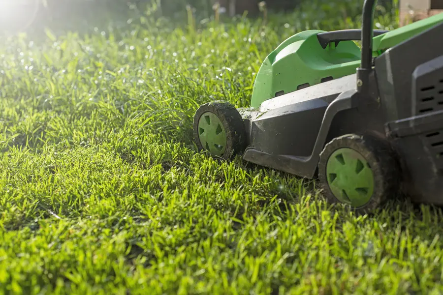 Common Lawn Mowing Mistakes And How To Avoid Them in Lafayette, CO