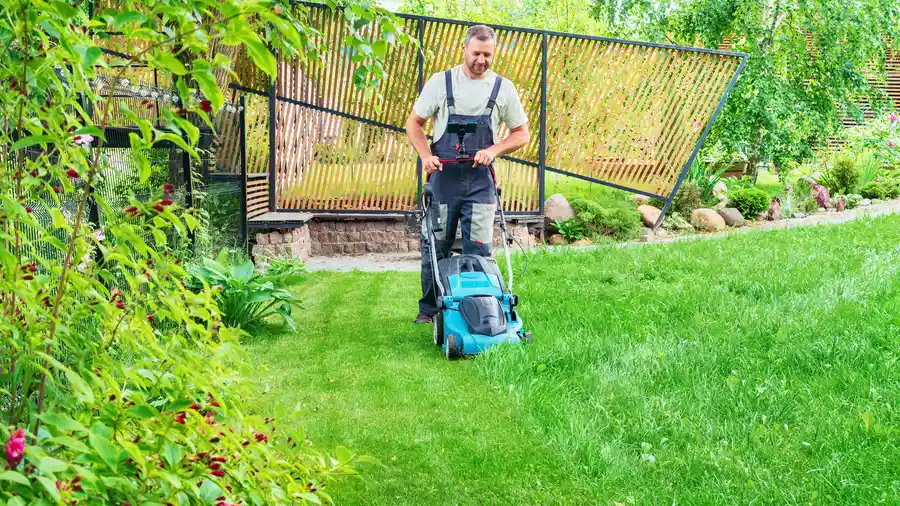 Experienced Lawn Mowing Lafayette, CO