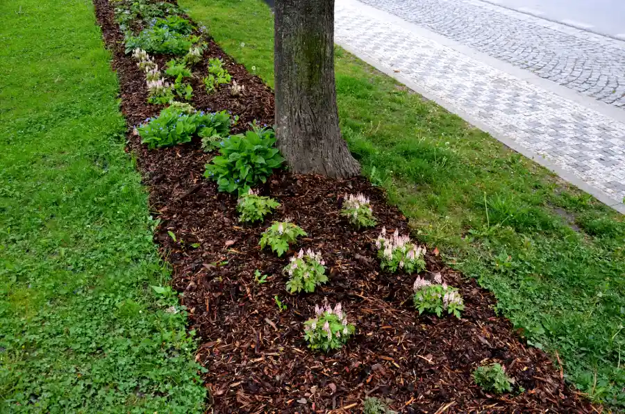 How Lawn Mulching Helps Prevent Weed Growth Naturally Lafayette, CO