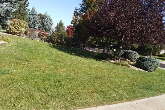 Landscaper in Lafayette, CO
