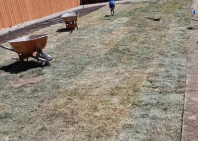 Lawn Mowing (1)