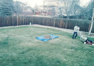 Lawn Mowing (2)