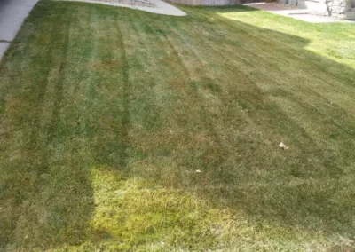 Lawn Mowing (4)
