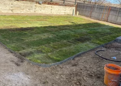 Lawn Mowing (5)