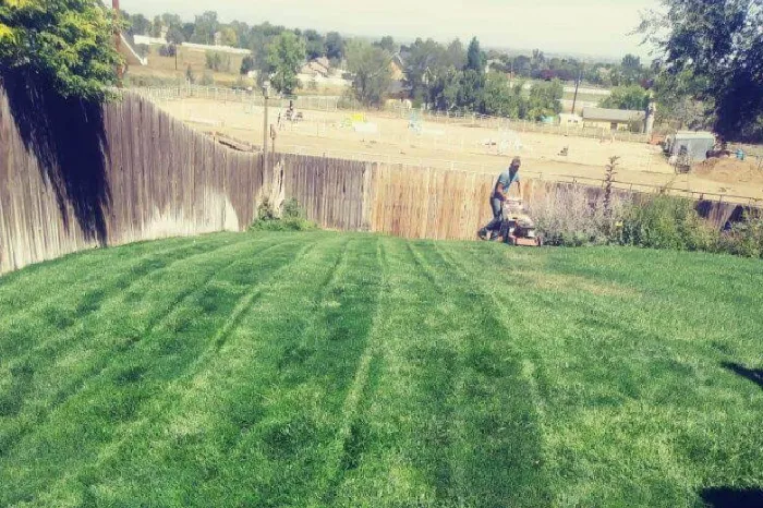 Lawn Mowing