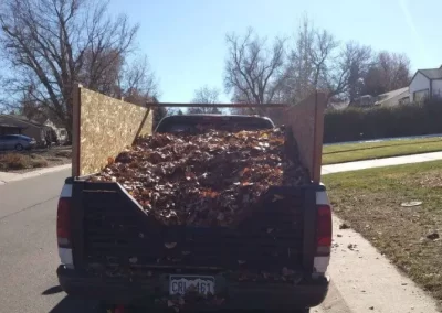 Professional Fall Cleanup