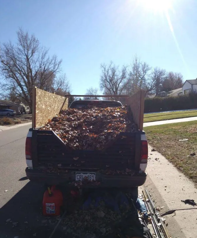 Professional Fall Cleanup
