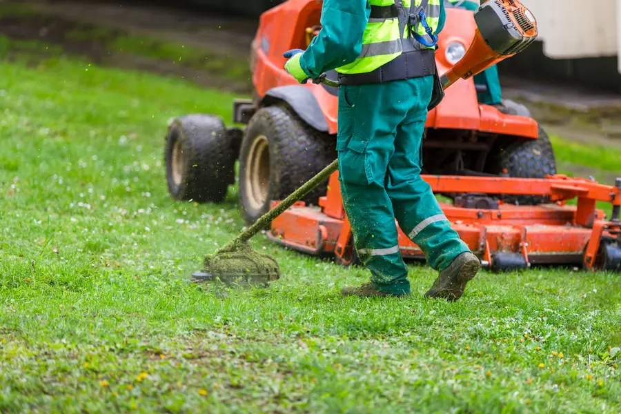 Professional Lawn Mowing Lafayette, CO