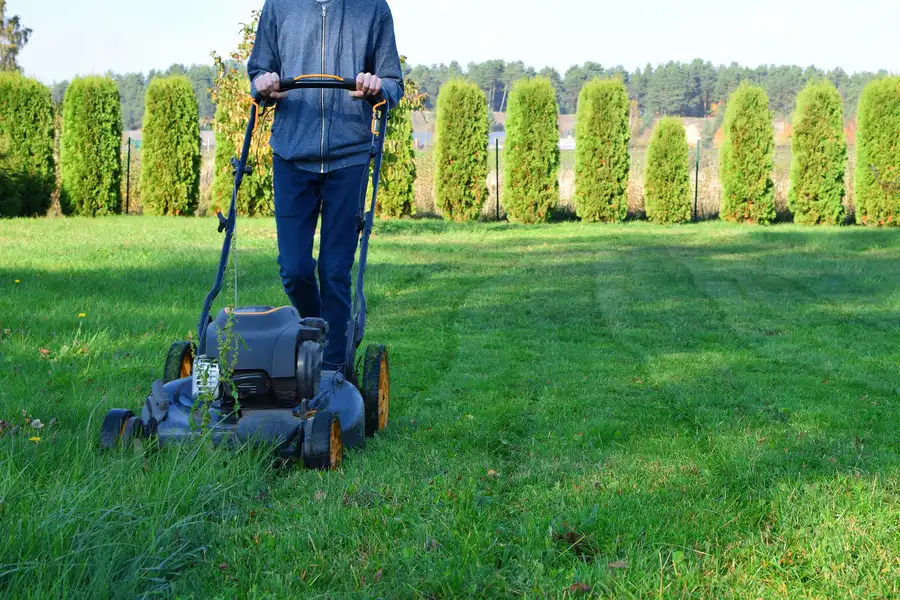 Seasonal Considerations For Effective Lawn Mowing Lafayette, CO