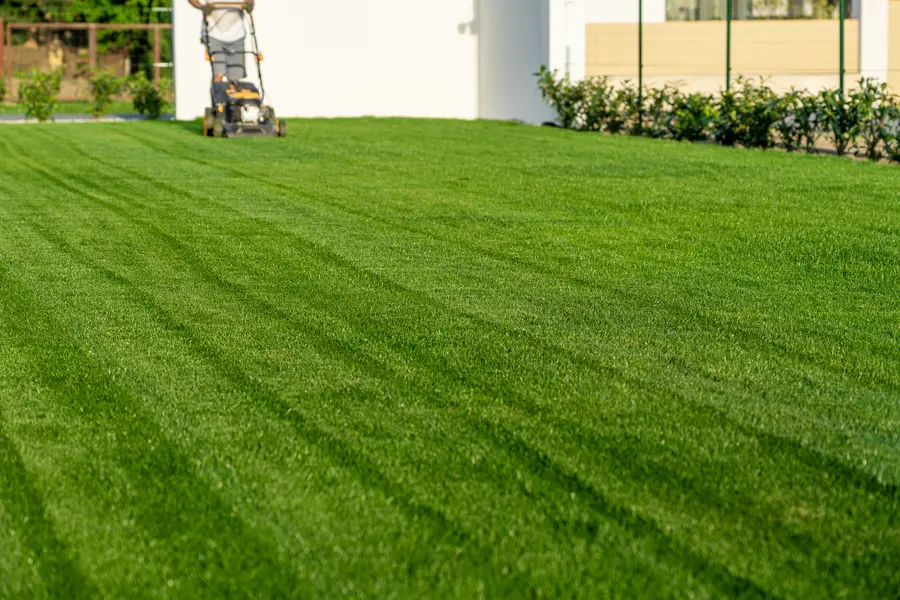 Seasonal Considerations For Effective Lawn Mowing in Lafayette, CO