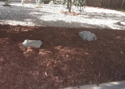 Top-notch Lawn Mulching