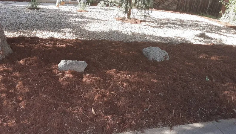 Top-notch Lawn Mulching