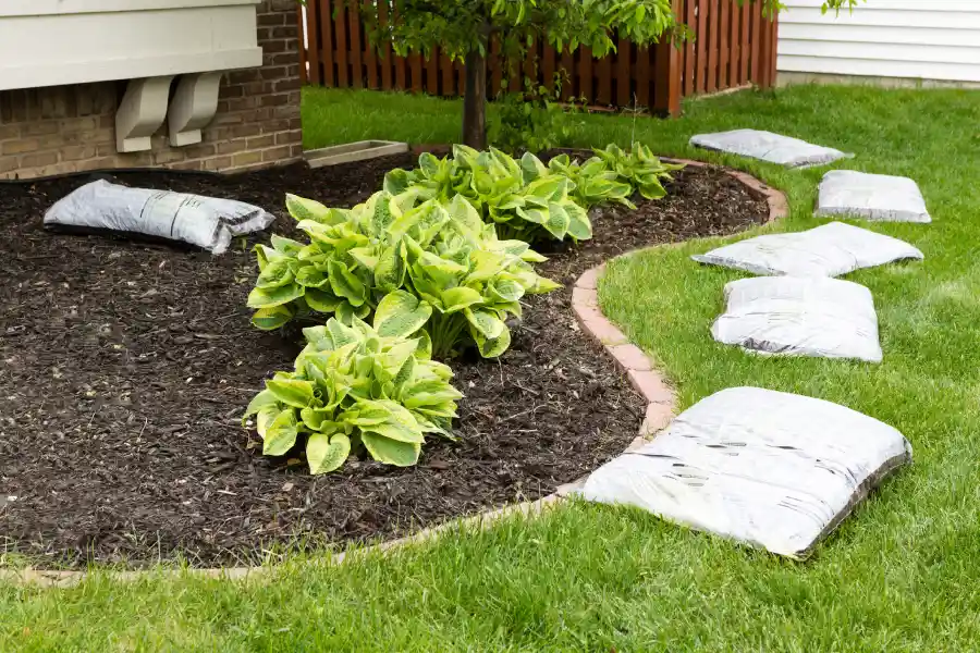 Top-rated Lawn Mulching Lafayette, CO