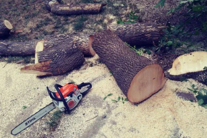 Tree Removal