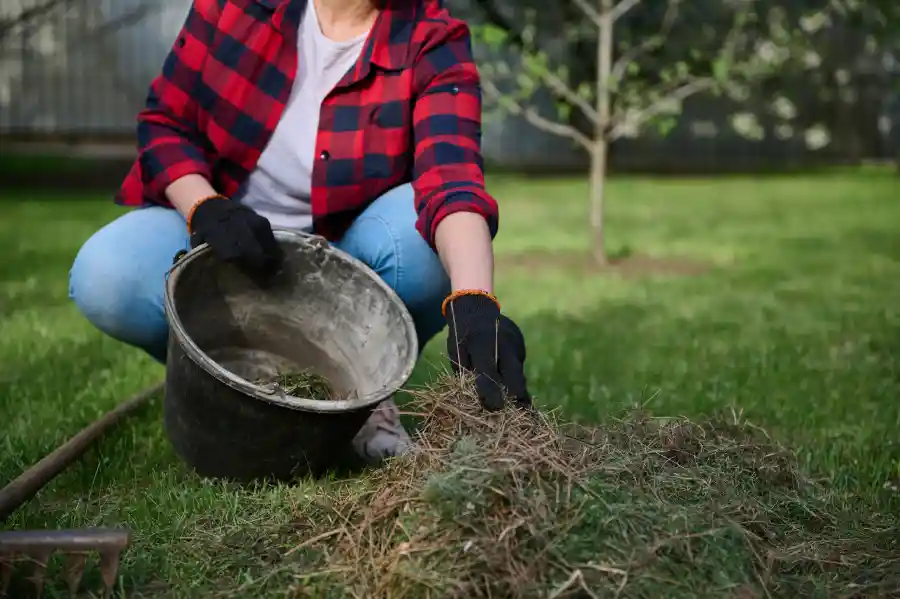 Understanding the Role of Lawn Mulching in Soil Health Lafayette, CO
