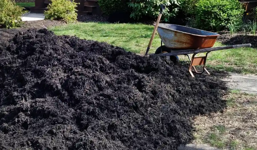 Understanding the Role of Lawn Mulching in Soil Health in Lafayette, CO
